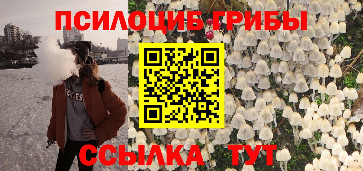 Псилоцибиновые грибы Psilocybe  Вход с VPN  Верхний Уфалей 